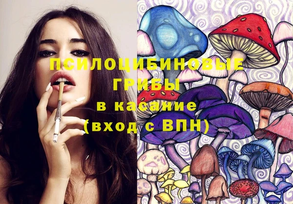 героин Алексин