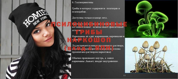 героин Алексин